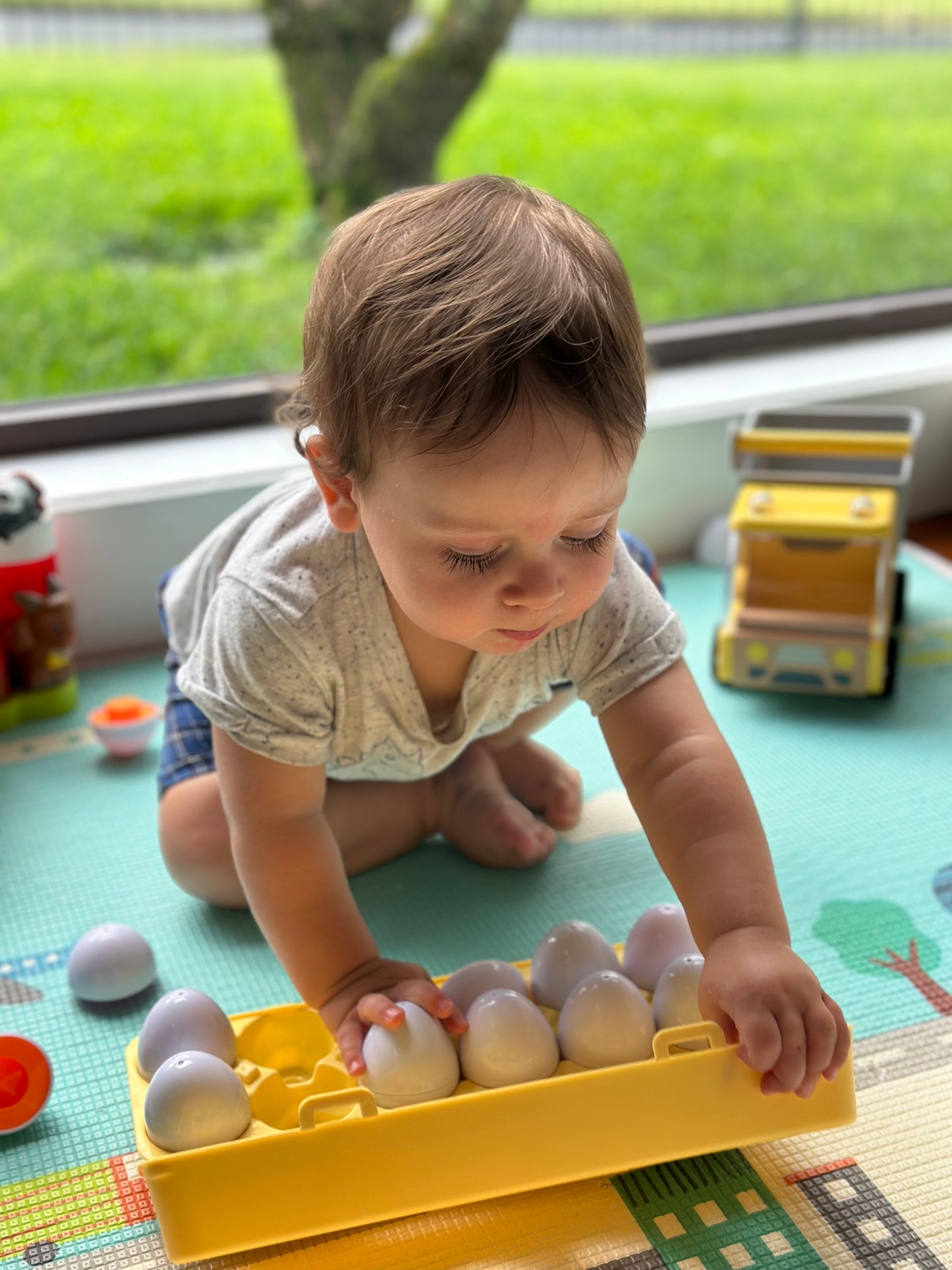 Montessori Interactive Matching Eggs