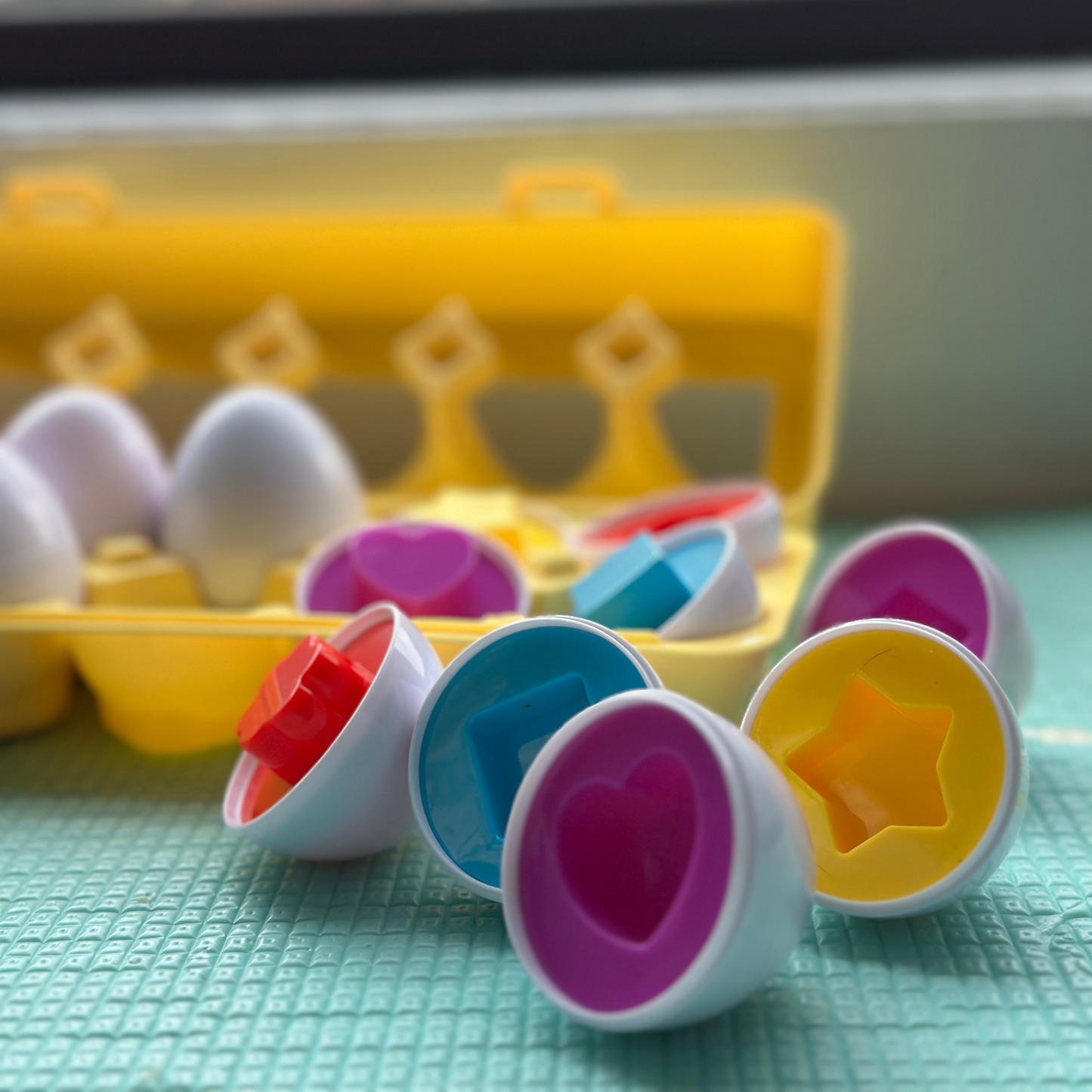 Montessori Interactive Matching Eggs