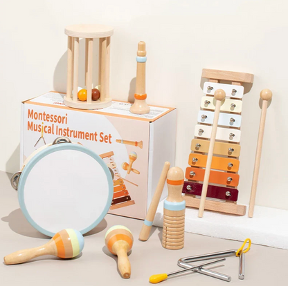 Montessori Musical Instruments Kit