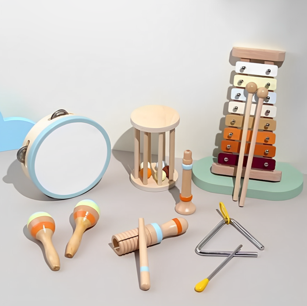 Montessori Musical Instruments Kit