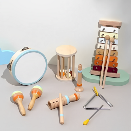 Montessori Musical Instruments Kit